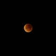 Image for article titled 34 Amazing Photos Of The Super Blood Moon